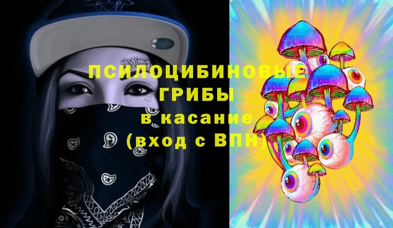 Псилоцибиновые грибы Magic Shrooms  нарко площадка как зайти  Котовск 